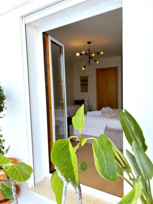 Nazare Boutique W Sea View And Private Rooftop Terace Bagian luar foto